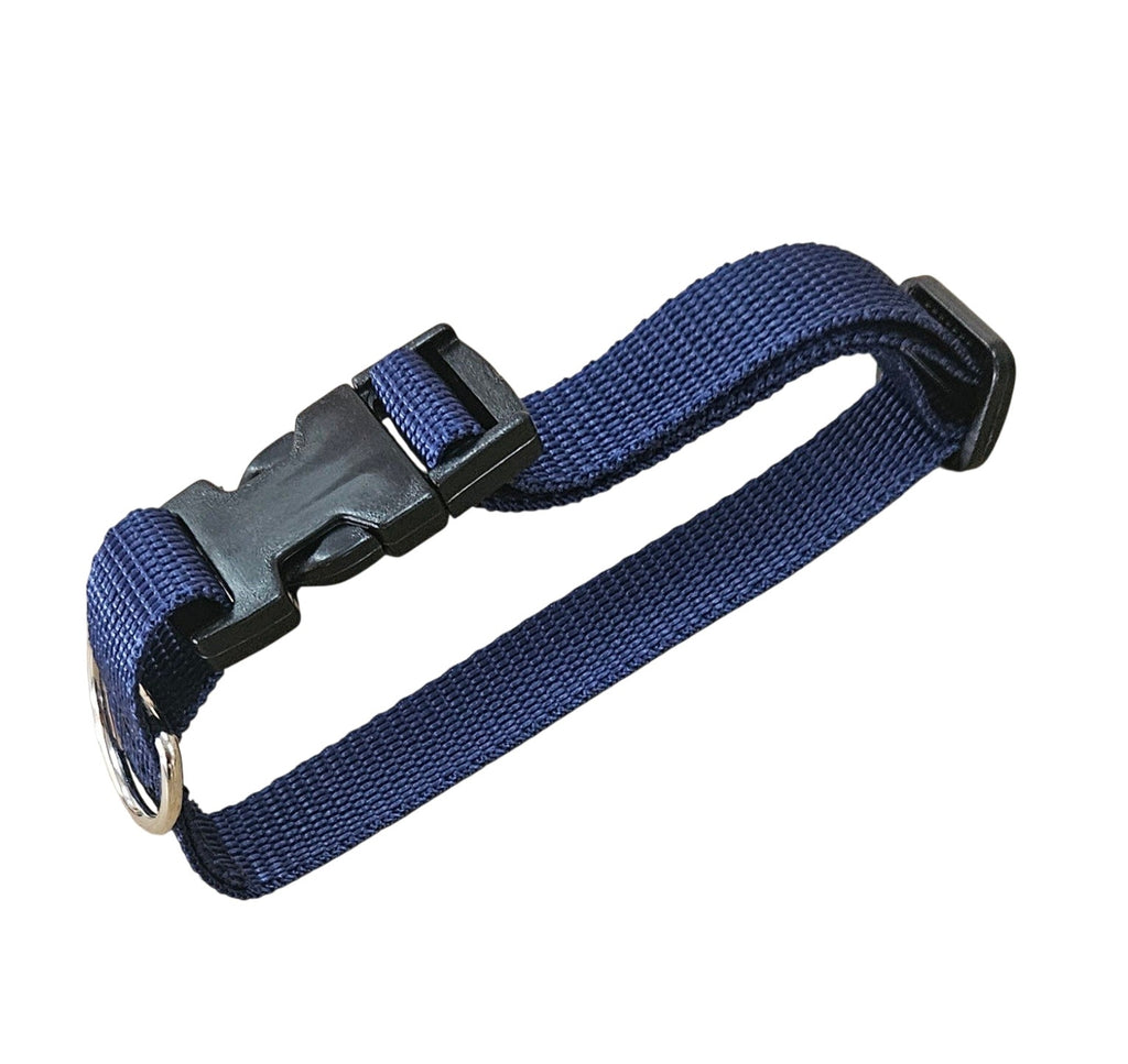 Dog Collars