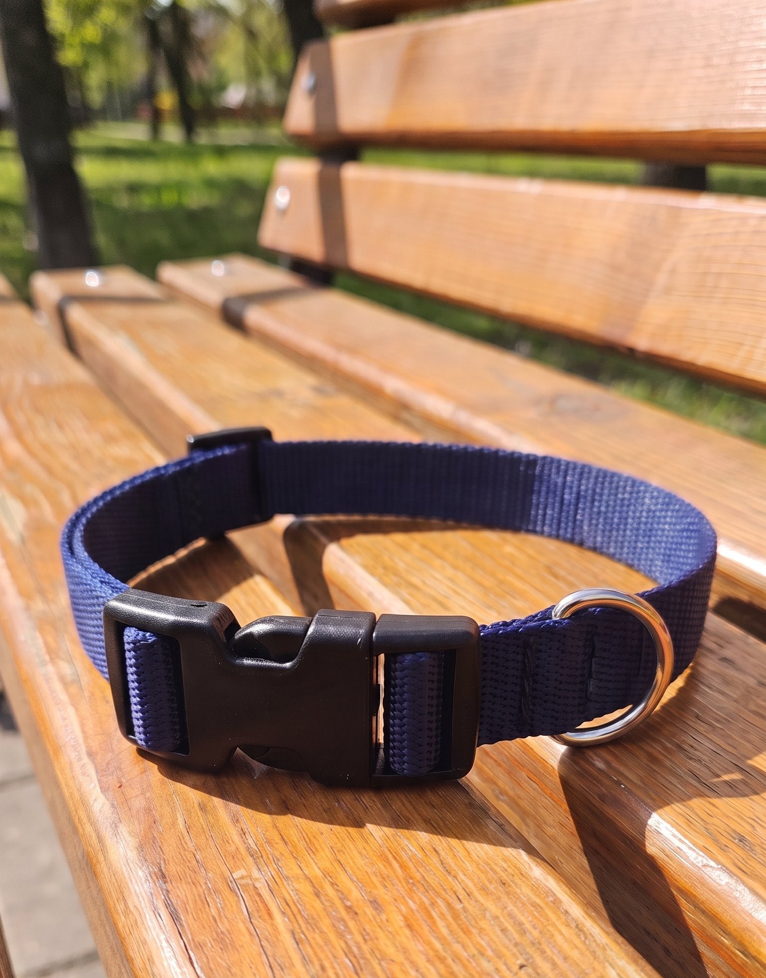 Dog Collars